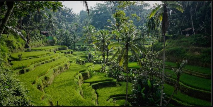Bali, Indonesia